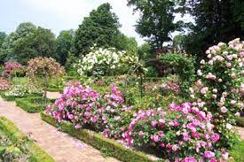 REPAS D'ETE A LA ROSERAIE